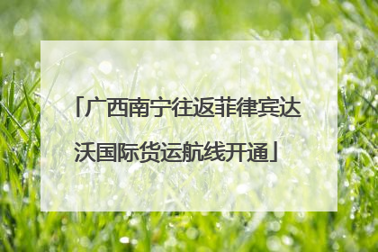 广西南宁往返菲律宾达沃国际货运航线开通